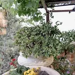 George & Alexandra's דירה *