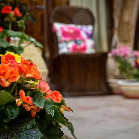 Appartamento George & Alexandra's Rhodes City