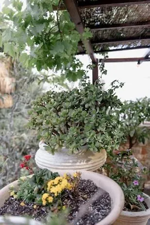 George & Alexandra's Lejlighed *