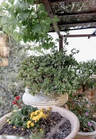 George & Alexandra's Lägenhet *